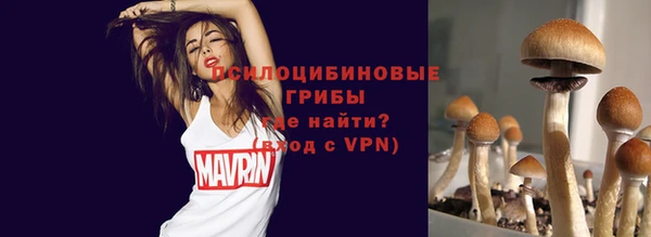 спиды Новодвинск