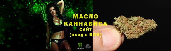 дмт Новозыбков