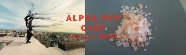 спиды Новодвинск
