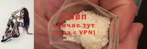 спиды Новодвинск