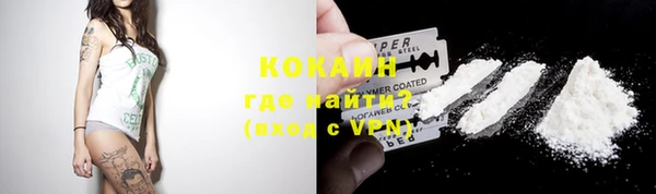 дмт Новозыбков