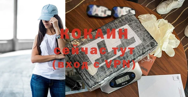 дмт Новозыбков