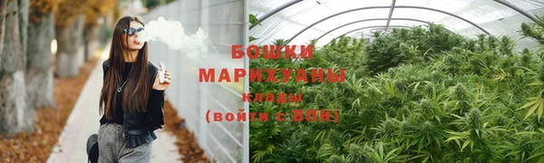 дмт Новозыбков