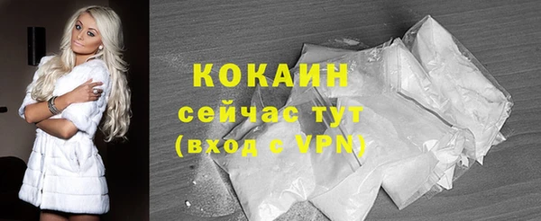 дмт Новозыбков