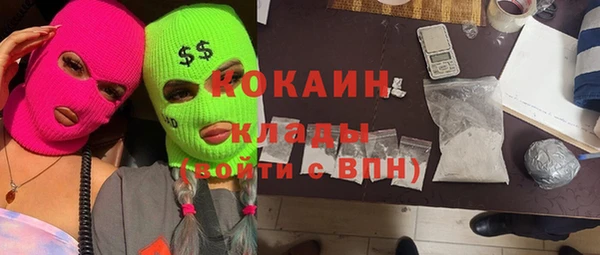 спиды Новодвинск