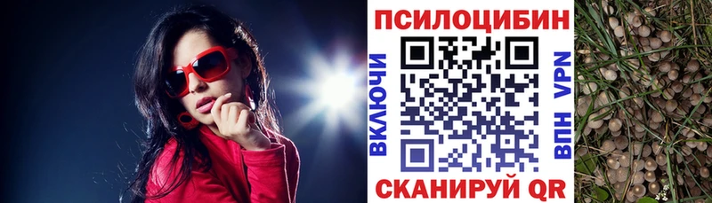купить наркотик  Соликамск  Галлюциногенные грибы мухоморы 